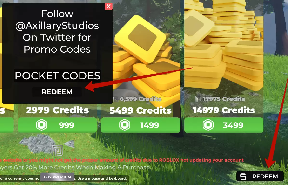 How to use Rush Point codes?