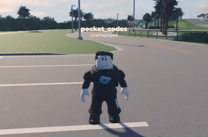 Palm Shores Florida codes