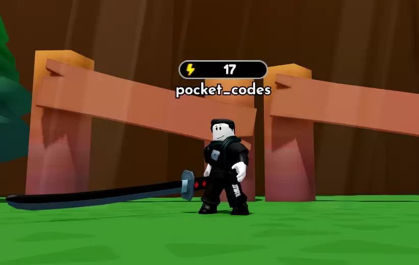 Anime Swordman Training Codes