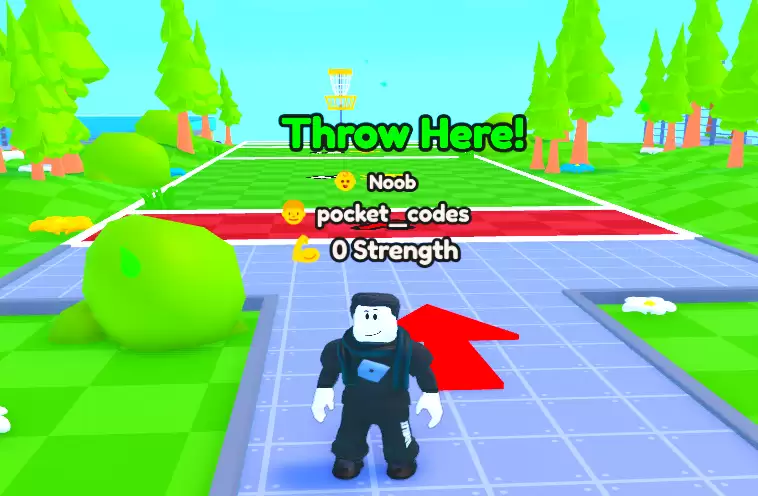Frisbee Simulator Codes