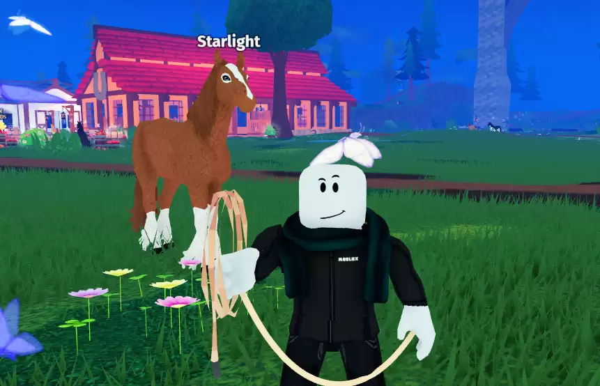 Horse Life Codes