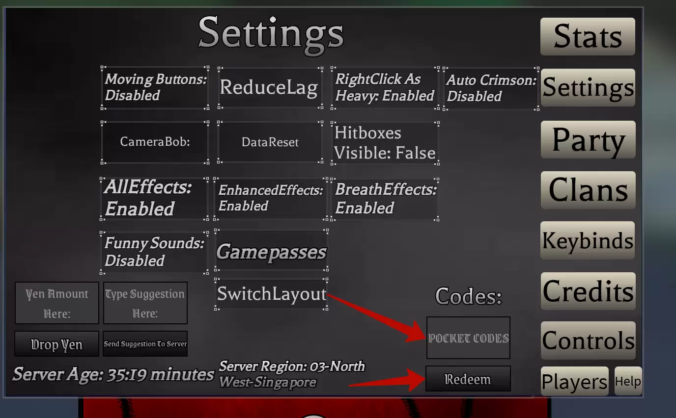 How to use Project DS codes