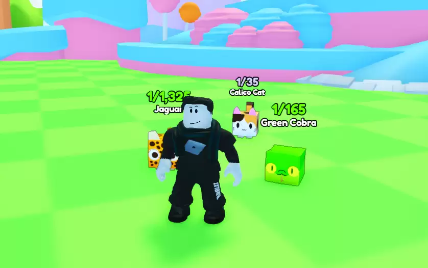 PETS GO Codes