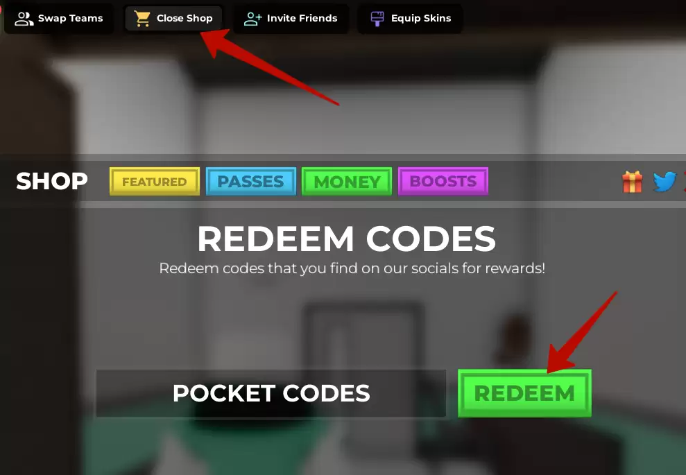 How to use Asylum Life codes?