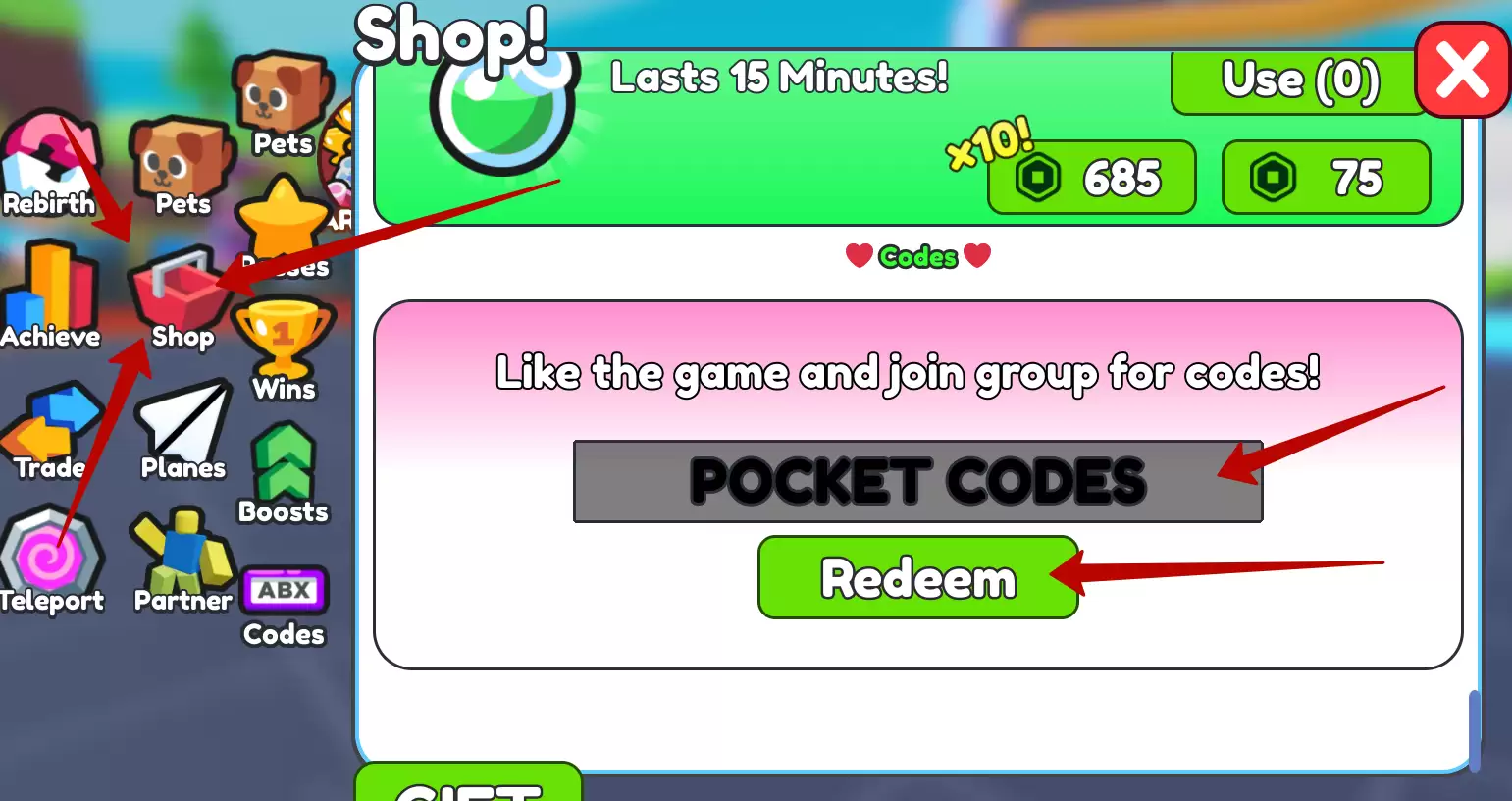 How to redeem Plane Training codes?