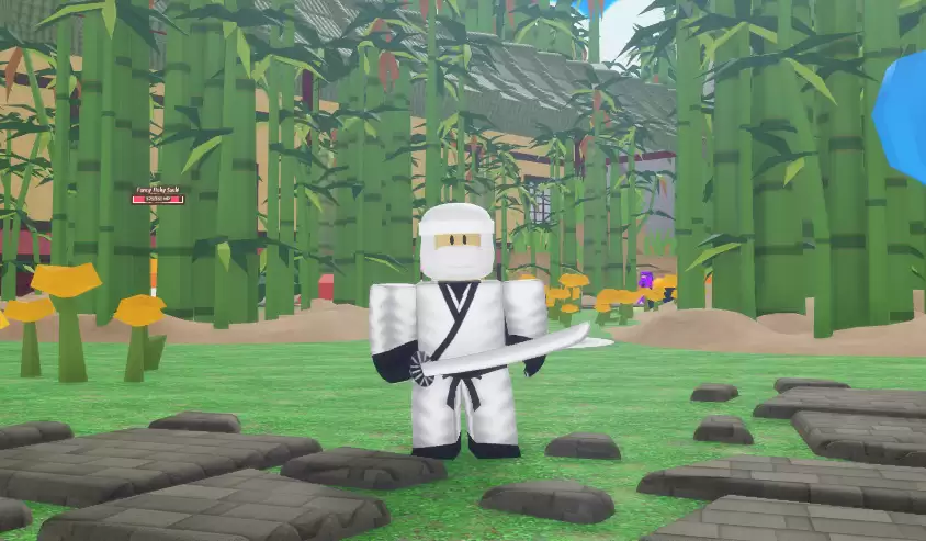 Ninja Evolution Codes