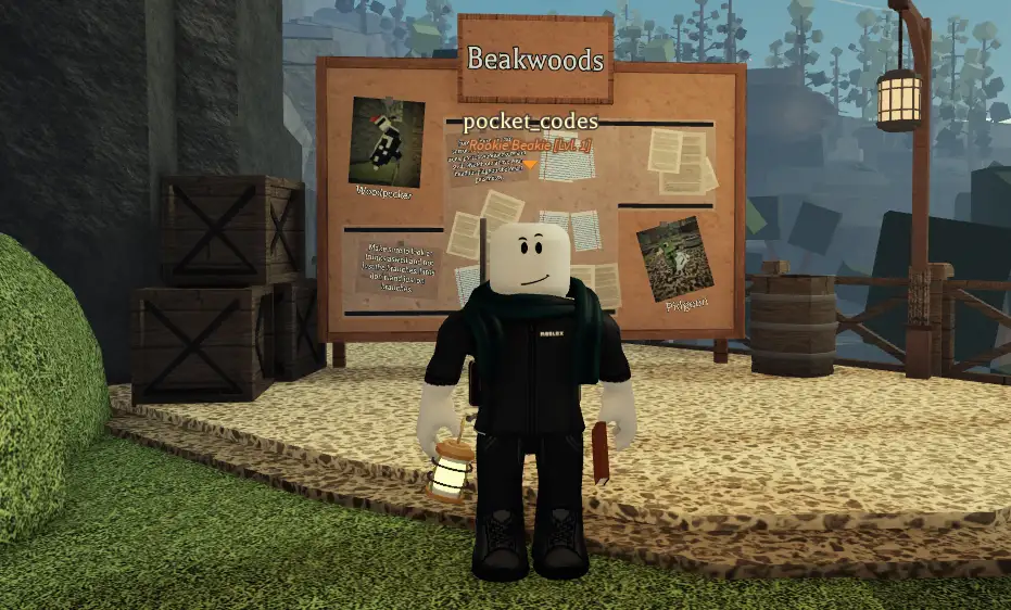 Beaks Codes