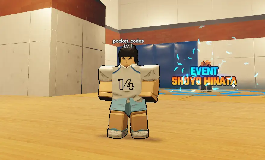 Volleyball Ascended Codes